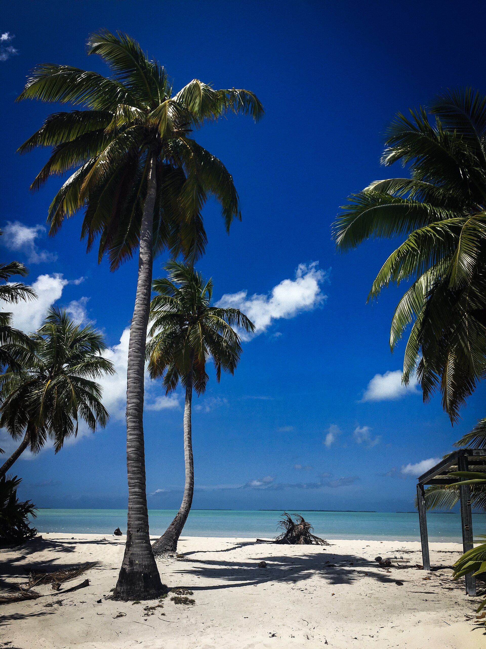 Imagem de referência de Cocos, descrito nos dados abertos como município do Estado da Bahia, Brasil