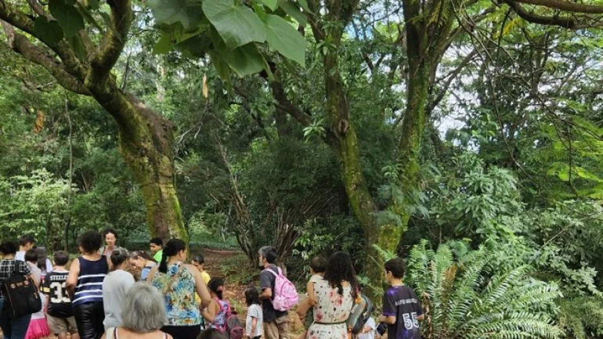 Parques de BH celebram aniversários com trilhas guiadas nesta semana