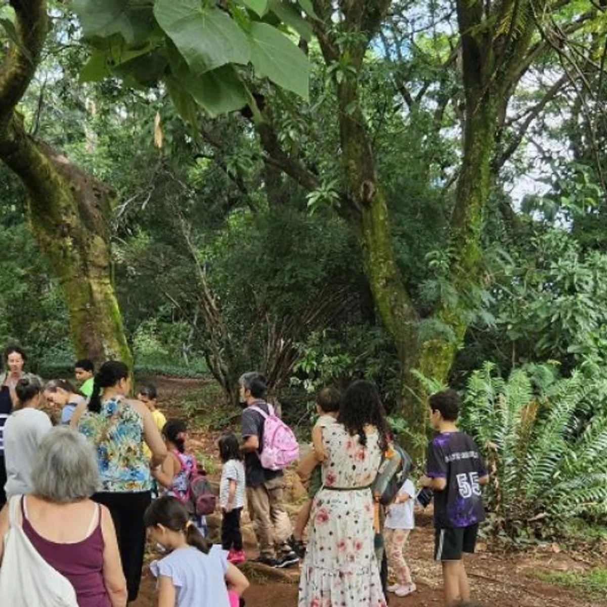 Parques de BH celebram aniversários com trilhas guiadas nesta semana