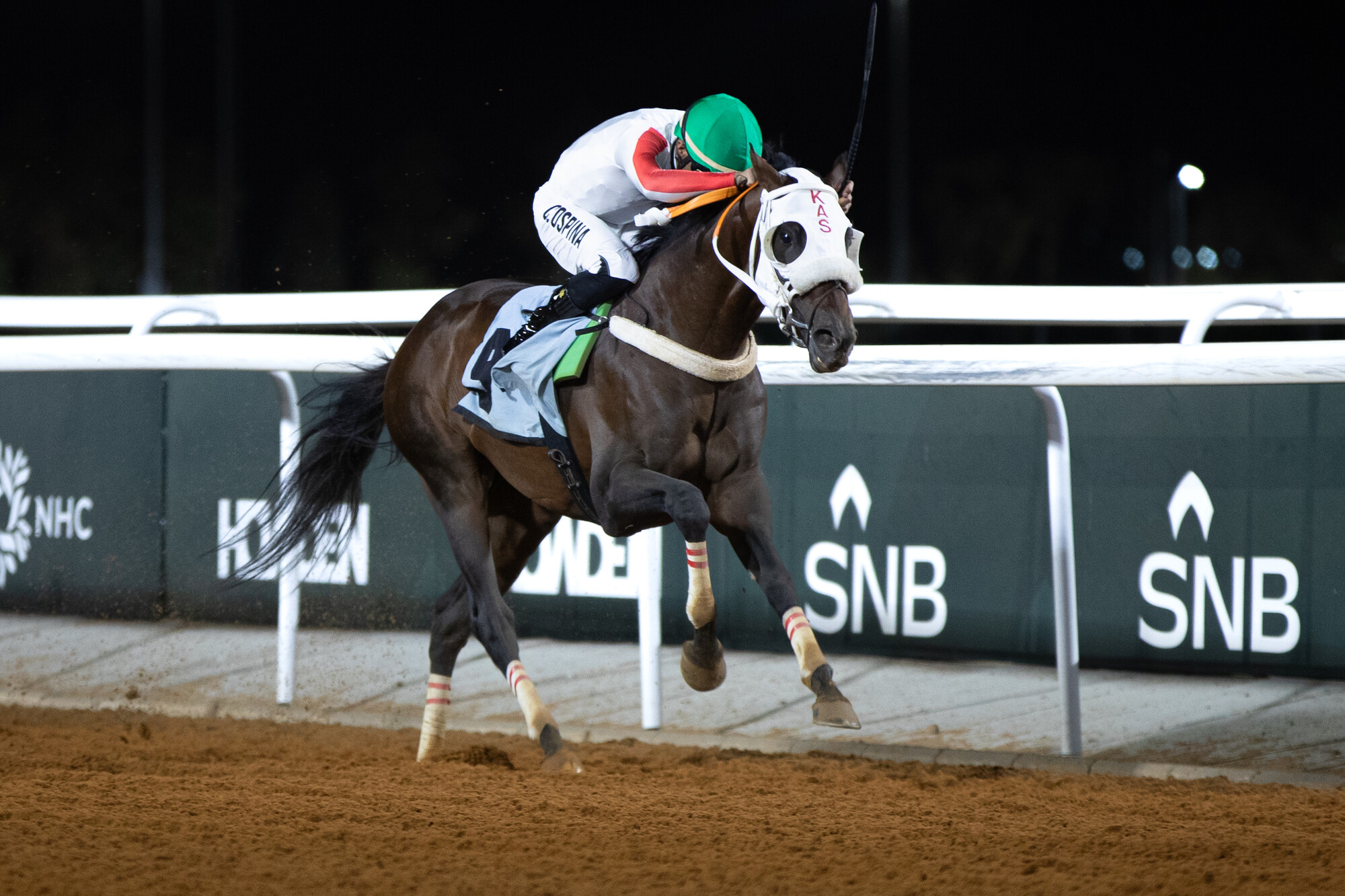 Taça do Dia Nacional nas manchetes enquanto a temporada de corridas em Taif chega ao fim no Hipódromo Rei Khalid